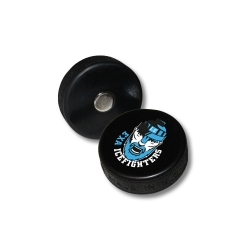 Icefighters - Minipuck - Magnet - mit Logo