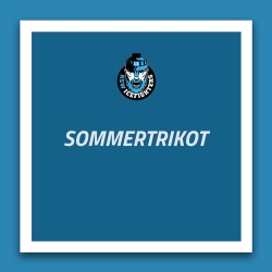 SOMMERTRIKOT